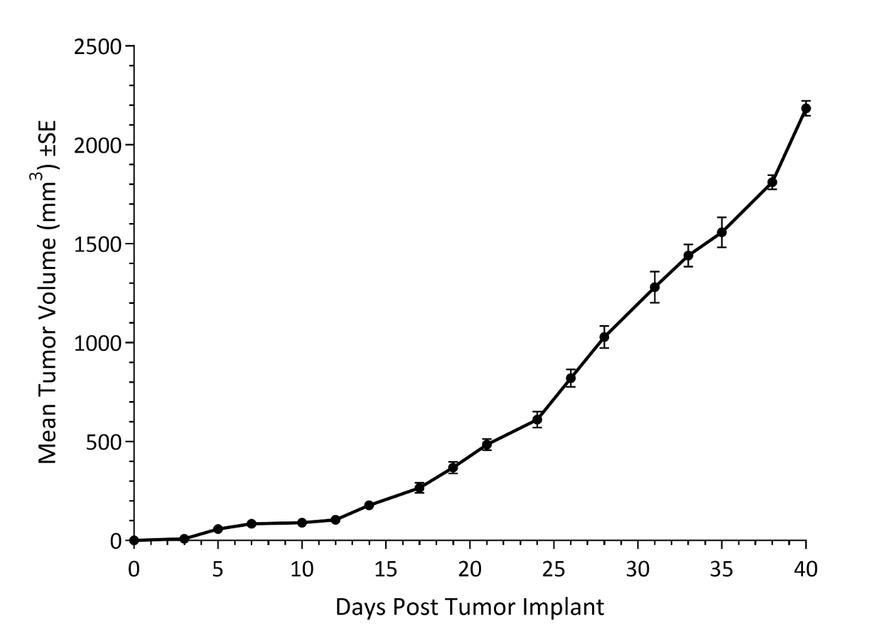 NCI-H1703 Human Lung Squamous Cell Carcinoma