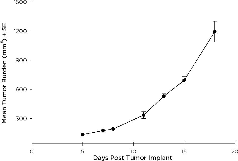 NCI-H1975 Human Non-Small Cell Lung Carcinoma