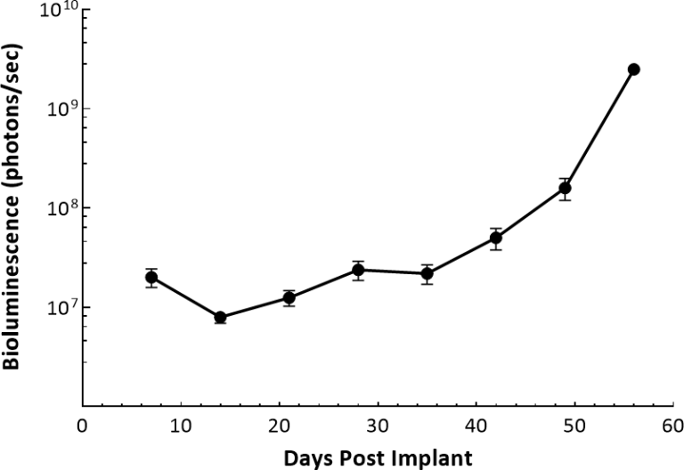 SK-OV-3-LUC-D3 (INTRAPERITONEAL)