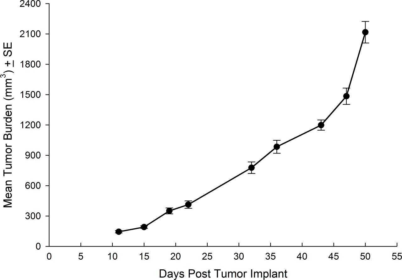 SNU-5 Human Gastric Carcinoma